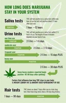 Will Delta 8 THC Show Up in Urine Reddit: Exploring the Mysteries of Cannabinoid Detection