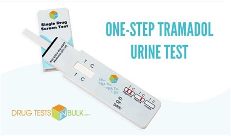 Will Tramadol Show in Urine Test: Exploring the Unpredictable Dance of Molecules